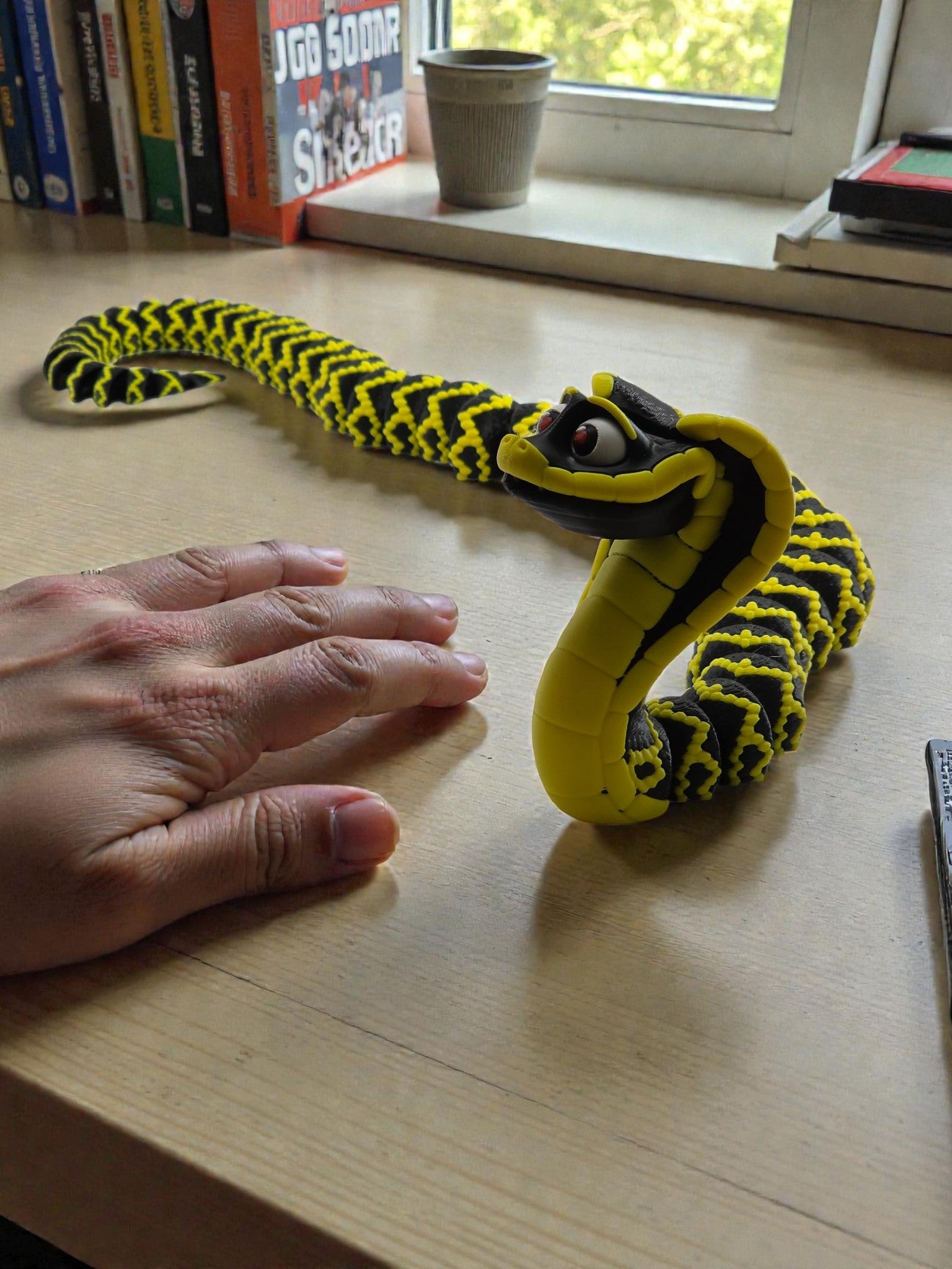 Yellow and black snake on a wooden table with a hand for scale.